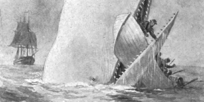 o-moby-dick-facebook